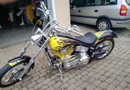 Gebrauchte Harley-Davidson Custom Bike