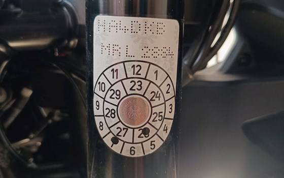 Gebrauchtmotorrad KTM 890 Adventure - Bild 2