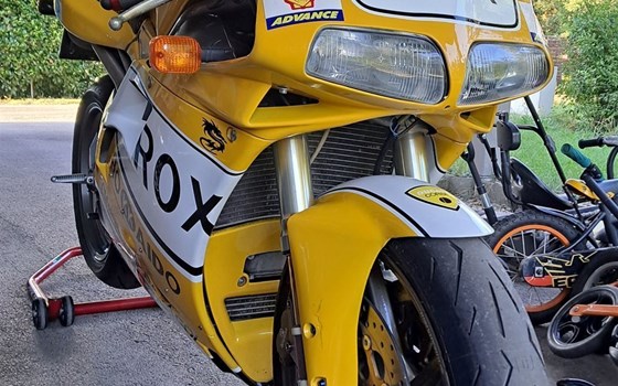 Gebrauchtmotorrad Ducati 748 R - Bild 1