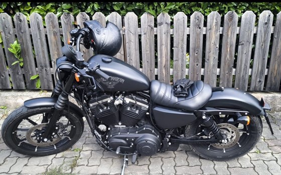 Gebrauchtmotorrad Harley-Davidson Sportster XL 883 N Iron - Bild 1