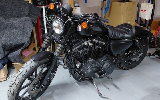 Gebrauchtmotorrad Harley-Davidson Sportster XL 883 N Iron - Bild 2