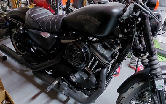 Gebrauchtmotorrad Harley-Davidson Sportster XL 883 N Iron - Bild 4