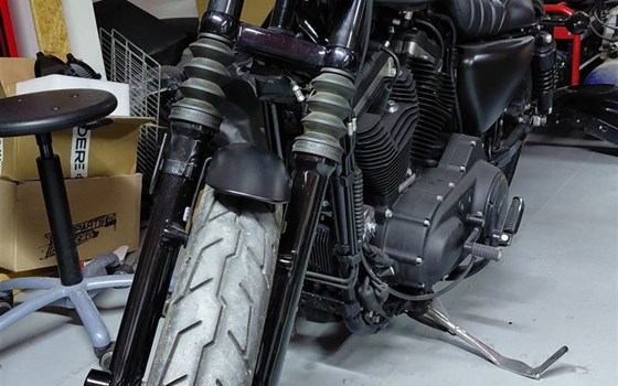 Gebrauchtmotorrad Harley-Davidson Sportster XL 883 N Iron - Bild 7