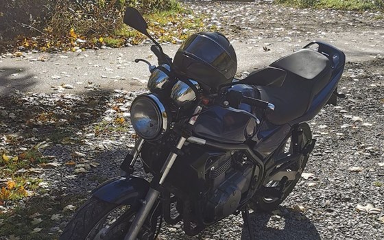 Gebrauchtmotorrad Kawasaki ER-5 - Bild 2