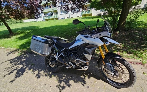 Gebrauchtmotorrad Triumph Tiger 900 Rally Pro - Bild 3
