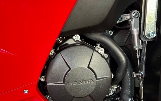 Gebrauchtmotorrad Honda CBR600RR - Bild 15