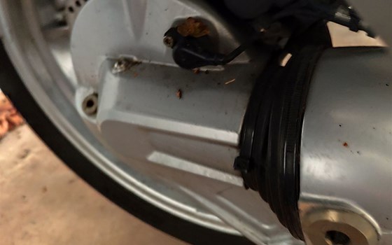 Gebrauchtmotorrad BMW R 1150 R - Bild 8