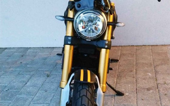 Motorrad Occasion Ducati Scrambler 1100 Sport - Bild 3