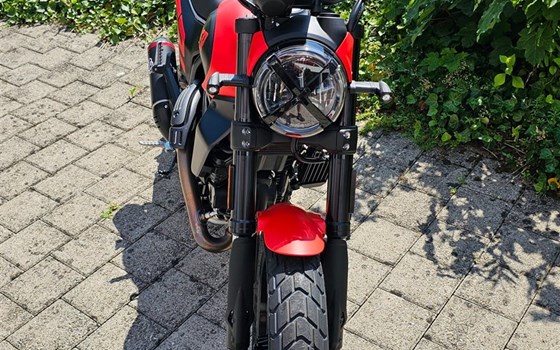 Neufahrzeug Ducati Scrambler Full Throttle - Bild 3