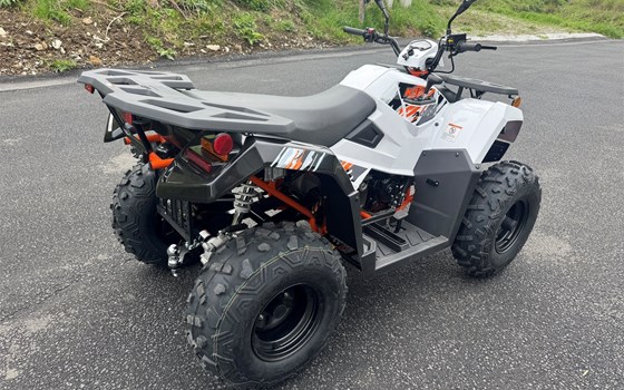 Neufahrzeug Kayo A 300 - Bild 6