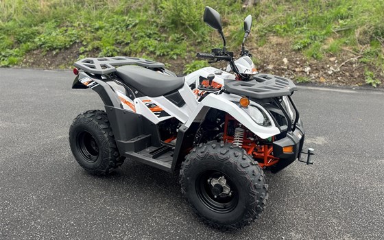 Neufahrzeug Kayo A 300 - Bild 9