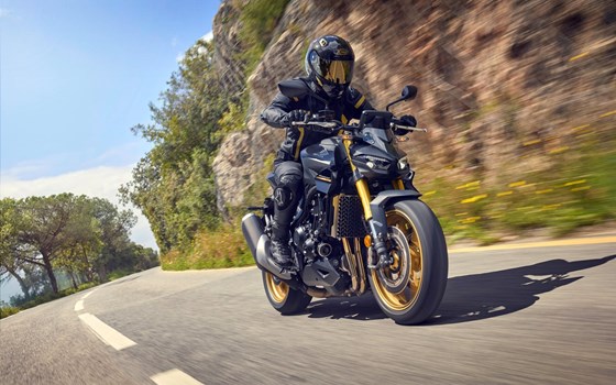 Gebrauchtmotorrad Honda CB1000 Hornet SP - Bild 15