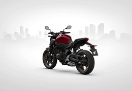 Neumotorrad Honda CB650R E-Clutch