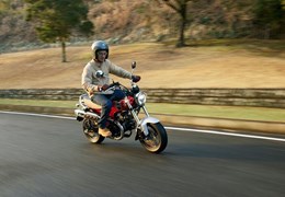 Neumotorrad Honda Dax 125