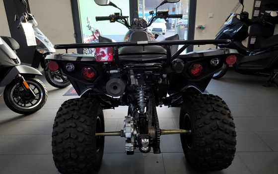 Gebrauchtmotorrad Kymco Maxxer 300 T Offroad - Bild 6