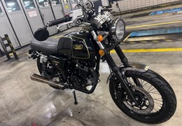 Gebrauchte Mash Black Seven