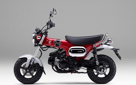 Neufahrzeug Honda Dax 125 - Bild 22