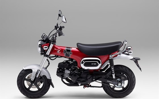 Neufahrzeug Honda Dax 125 - Bild 23