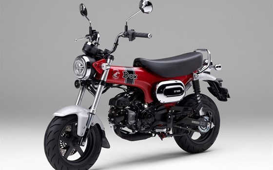 Neufahrzeug Honda Dax 125 - Bild 22