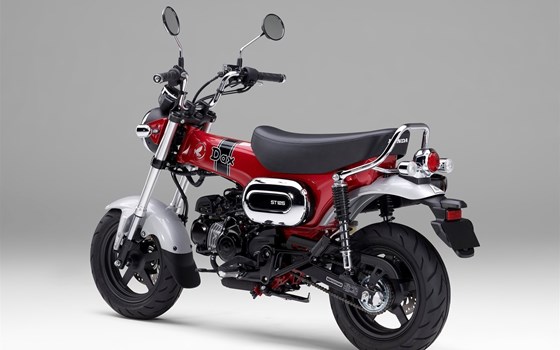 Neufahrzeug Honda Dax 125 - Bild 25