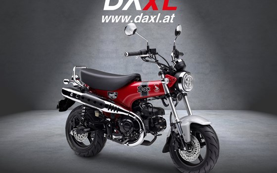 Neufahrzeug Honda Dax 125 - Bild 1