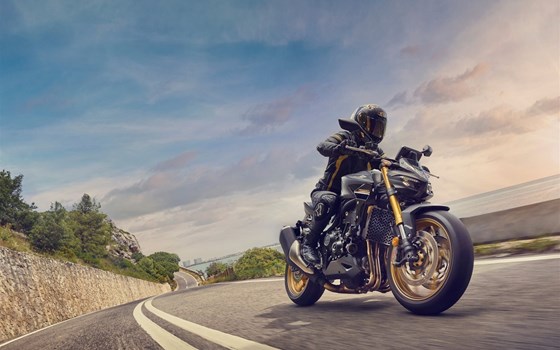 Neufahrzeug Honda CB1000 Hornet SP - Bild 2