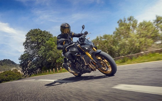 Neufahrzeug Honda CB1000 Hornet SP - Bild 6