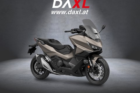 Die Top 5 Sportroller am Markt