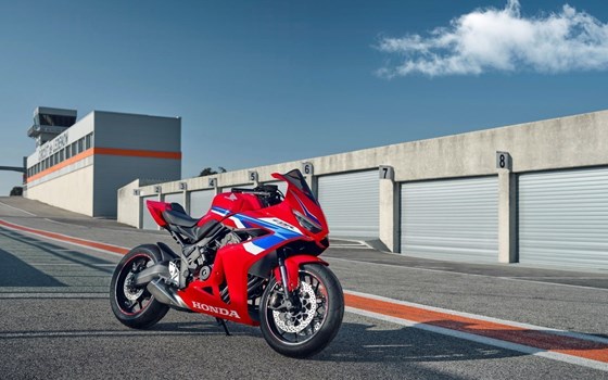Neufahrzeug Honda CBR650R E-Clutch - Bild 11
