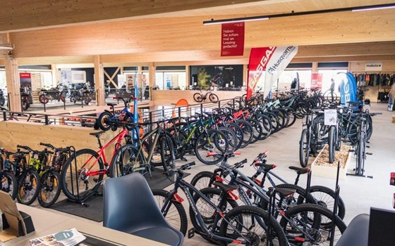 Gebrauchtmotorrad Husqvarna Norden 901 - Bild 22