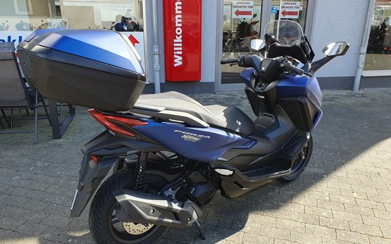 Gebrauchtmotorrad Honda Forza 125 - Bild 5