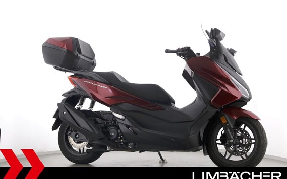 Gebrauchtmotorrad Honda Forza 350 - Bild 1