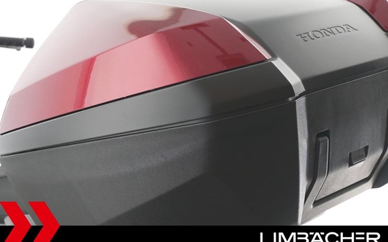 Gebrauchtmotorrad Honda Forza 350 - Bild 15