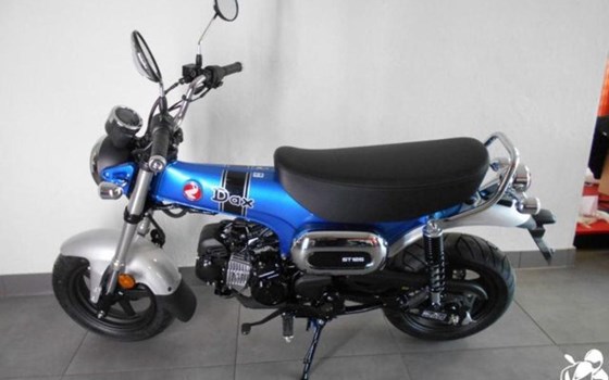 Neufahrzeug Honda Dax 125 - Bild 1