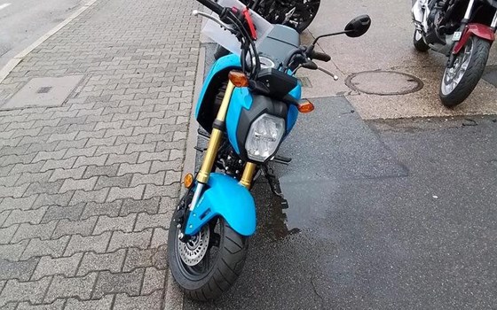 Neufahrzeug Honda MSX125 Grom - Bild 3