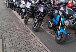 Neumotorrad Honda Forza 750