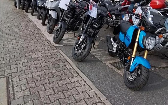 Neufahrzeug Honda Forza 750 - Bild 2