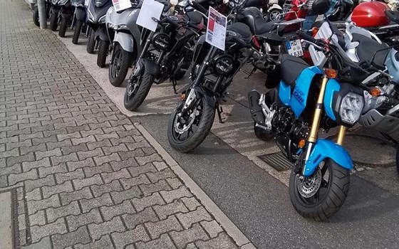 Neufahrzeug Honda Forza 125 - Bild 8