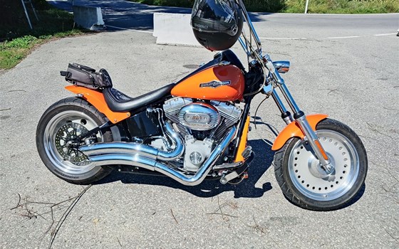 Gebrauchtmotorrad Harley-Davidson Softail Custom FXSTC - Bild 1