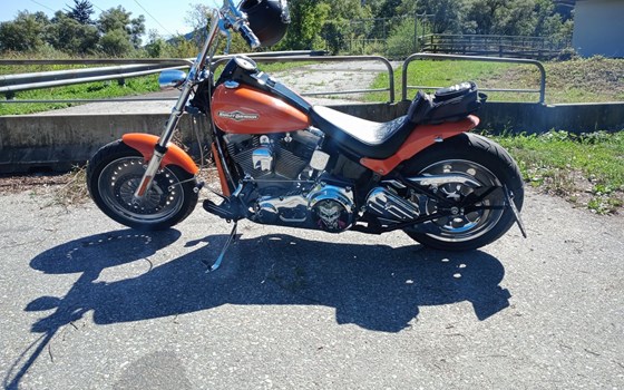 Gebrauchtmotorrad Harley-Davidson Softail Custom FXSTC - Bild 5