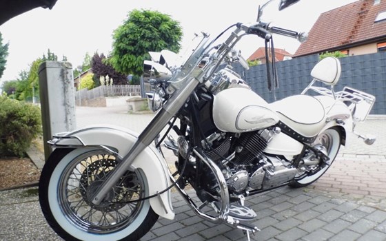 Gebrauchtmotorrad Yamaha XVS 650 Drag Star Classic - Bild 4