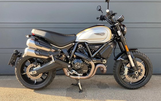Gebrauchtmotorrad Ducati Scrambler 1100 PRO - Bild 2