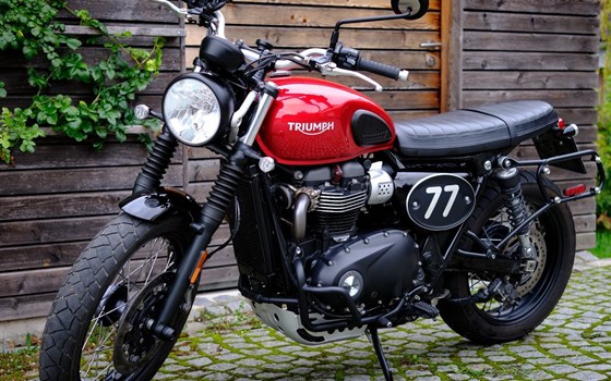Gebrauchtmotorrad Triumph Street Scrambler - Bild 1