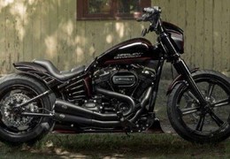 Gebrauchte Harley-Davidson Softail Standard FXST