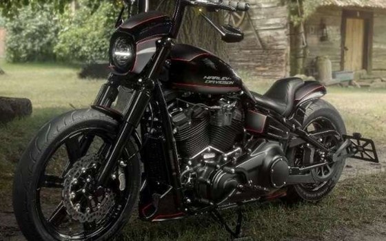 Gebrauchtmotorrad Harley-Davidson Softail Standard FXST - Bild 2