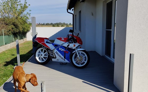 Gebrauchtmotorrad Honda VFR 400 R (NC30) - Bild 3