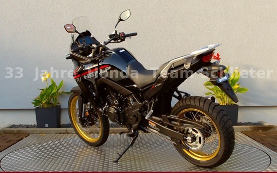 Neufahrzeug Honda XL750 Transalp - Bild 6