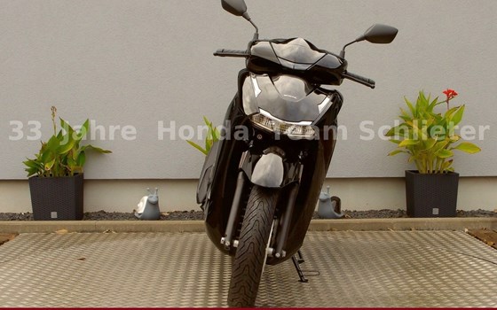 Neufahrzeug Honda SH350i - Bild 3