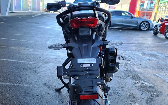 Neufahrzeug Ducati Multistrada V4 Rally - Bild 6
