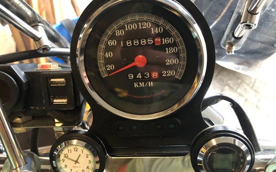 Motorrad Occasion Harley-Davidson Sportster XL 883 - Bild 2